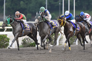 過去6年の競走成績 2022