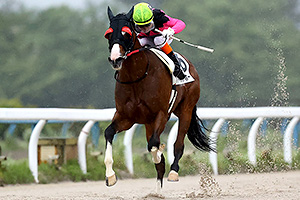 過去6年の競走成績 2021