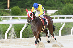 過去6年の競走成績 2022