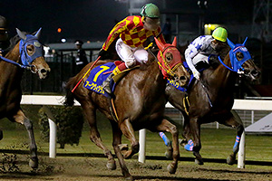 過去6年の競走成績 2018