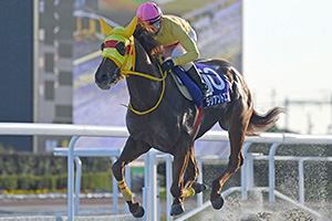 過去6年の競走成績 2020