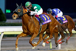 過去6年の競走成績 2017