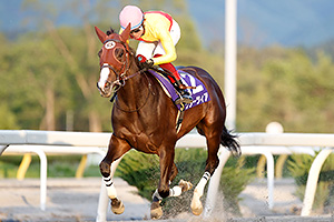 過去5年の競走成績 2022