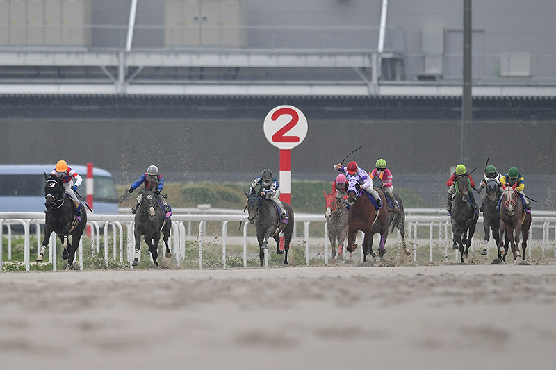 2022年 グラーツィア　ロスなく立ち回り直線差し切る