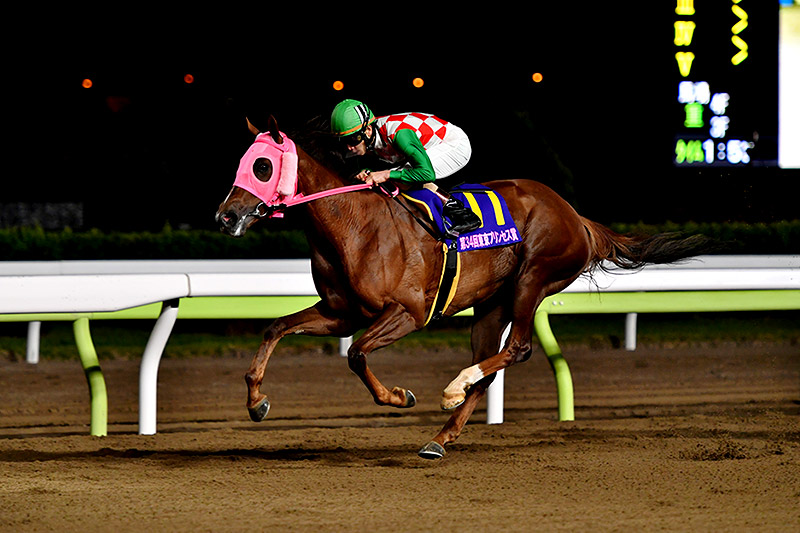 2020年 アクアリーブル　抜群の手応えで直線抜け出す