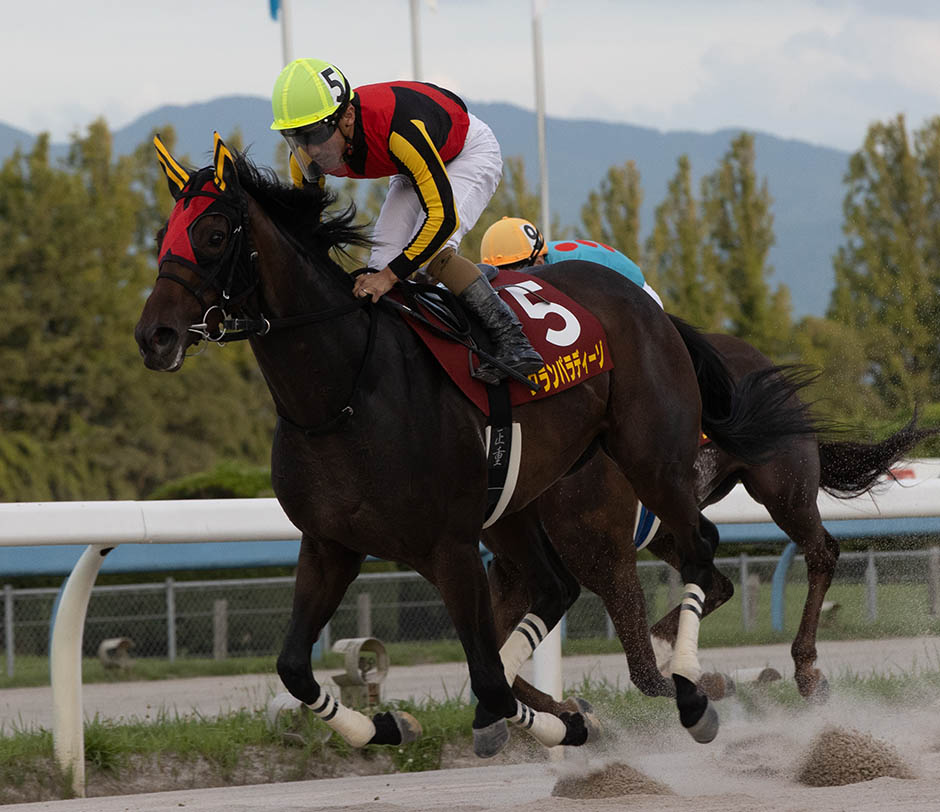 読売レディス杯 ゴール前