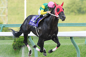 過去6年の競走成績 2019