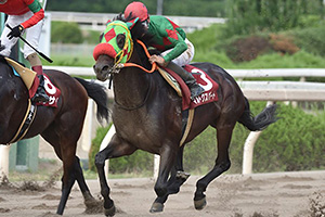 過去6年の競走成績 2017