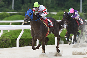 過去6年の競走成績 2022