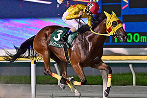 過去6年の競走成績 2021