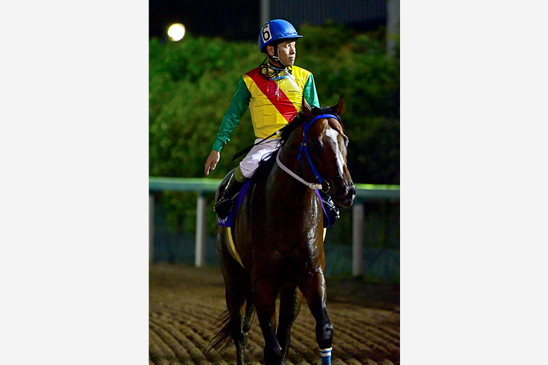 2019年 ノブワイルド　連覇を狙う人気馬を競り落とす