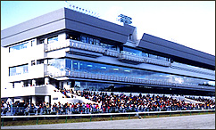 �������n��