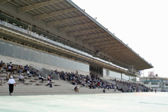 ���c���n��