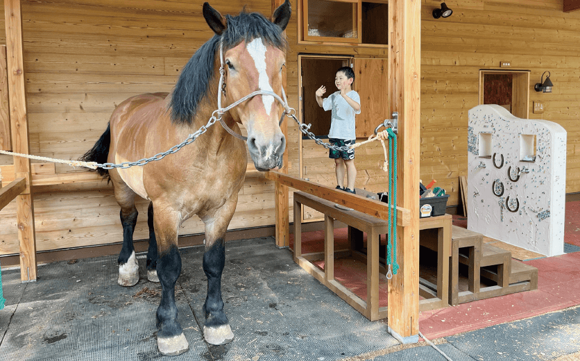 馬のふれあい舎