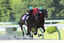 ��N�D���n�F�T�J�W�����B�O���X