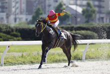 ��N�D���n�F�n�i�m�p���[�h