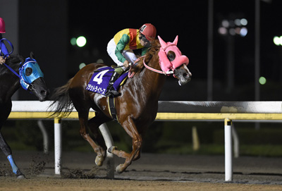 ��N�D���n�F�t���b�g���C�i�[�Y