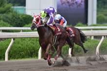 ��N�D���n�F�����h�N�C�[��