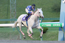 ��N�D���n�F�G�[�V���V�����N