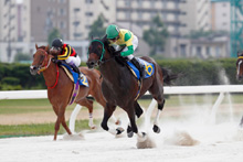 ��N�D���n�F�n�C�W��