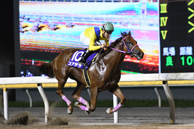 ��N�D���n�F�X�A�f��