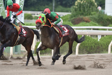 ��N�D���n�F�}���g�N�X�p�[�g