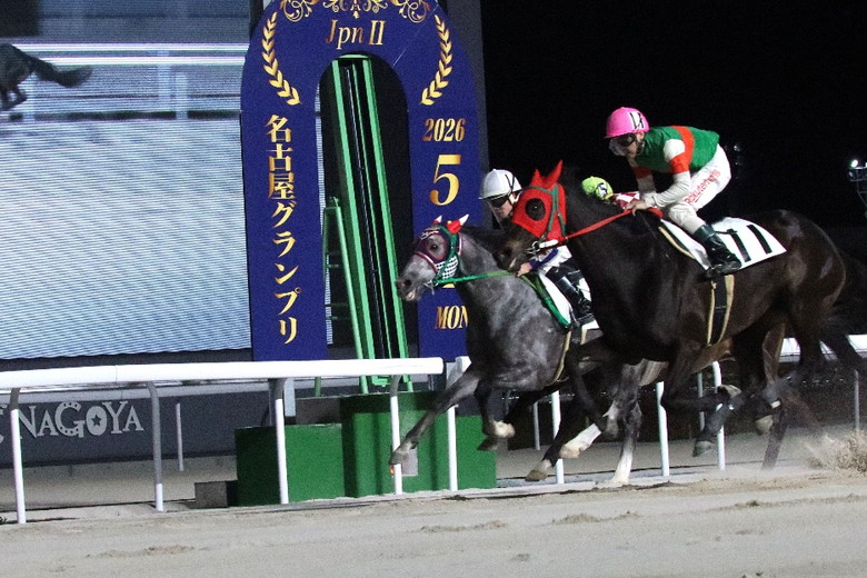 写真提供：愛知県競馬組合